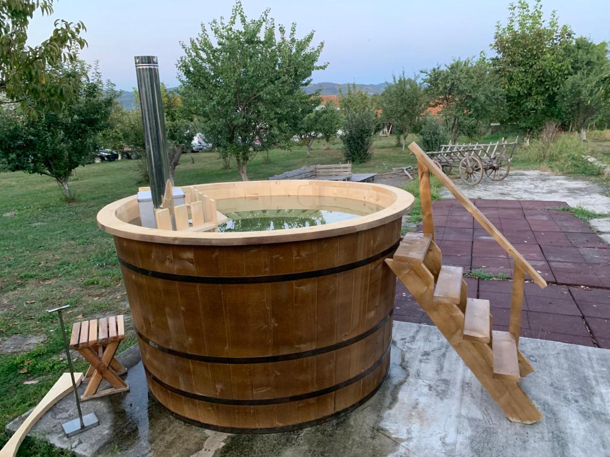 Pensiunea Marmis Riu Barbat Bagian luar foto