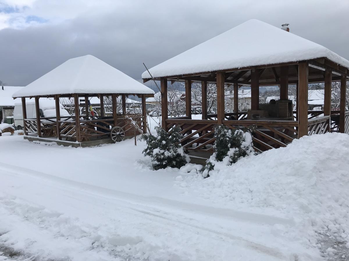Pensiunea Marmis Riu Barbat Bagian luar foto
