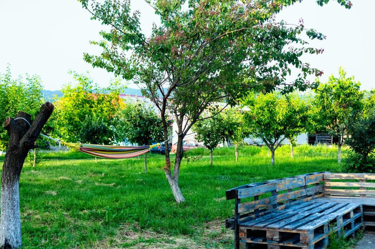 Pensiunea Marmis Riu Barbat Bagian luar foto