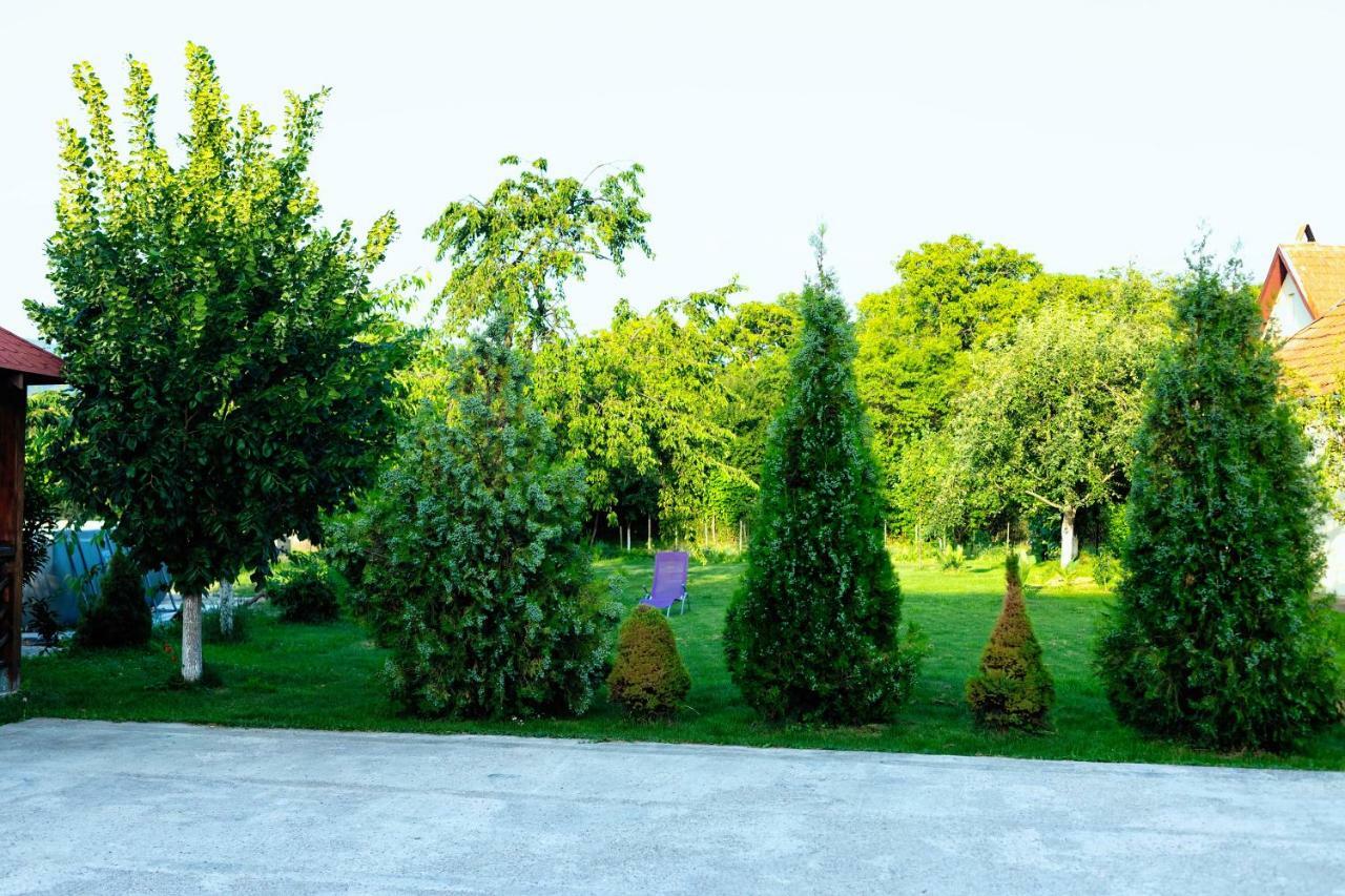 Pensiunea Marmis Riu Barbat Bagian luar foto