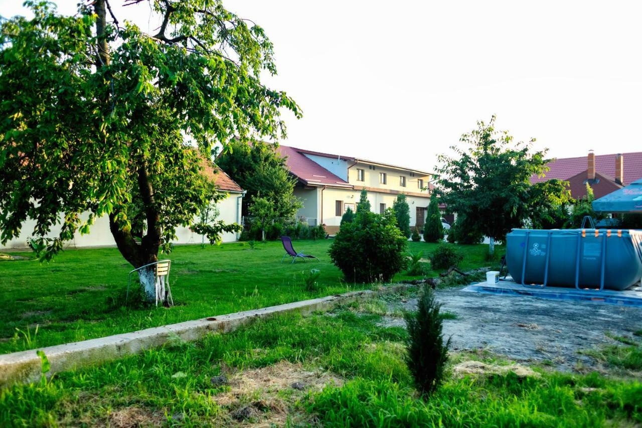 Pensiunea Marmis Riu Barbat Bagian luar foto