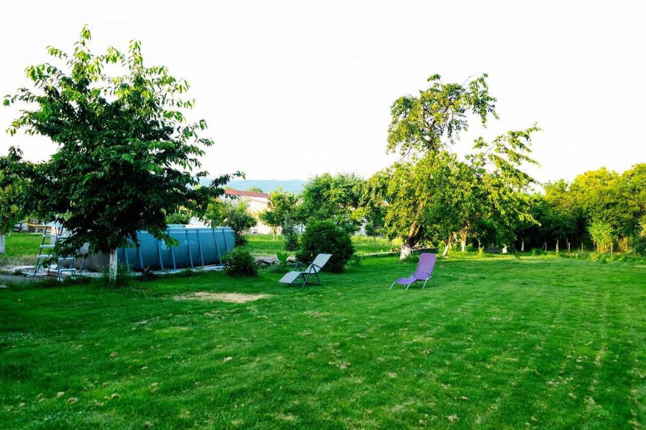 Pensiunea Marmis Riu Barbat Bagian luar foto